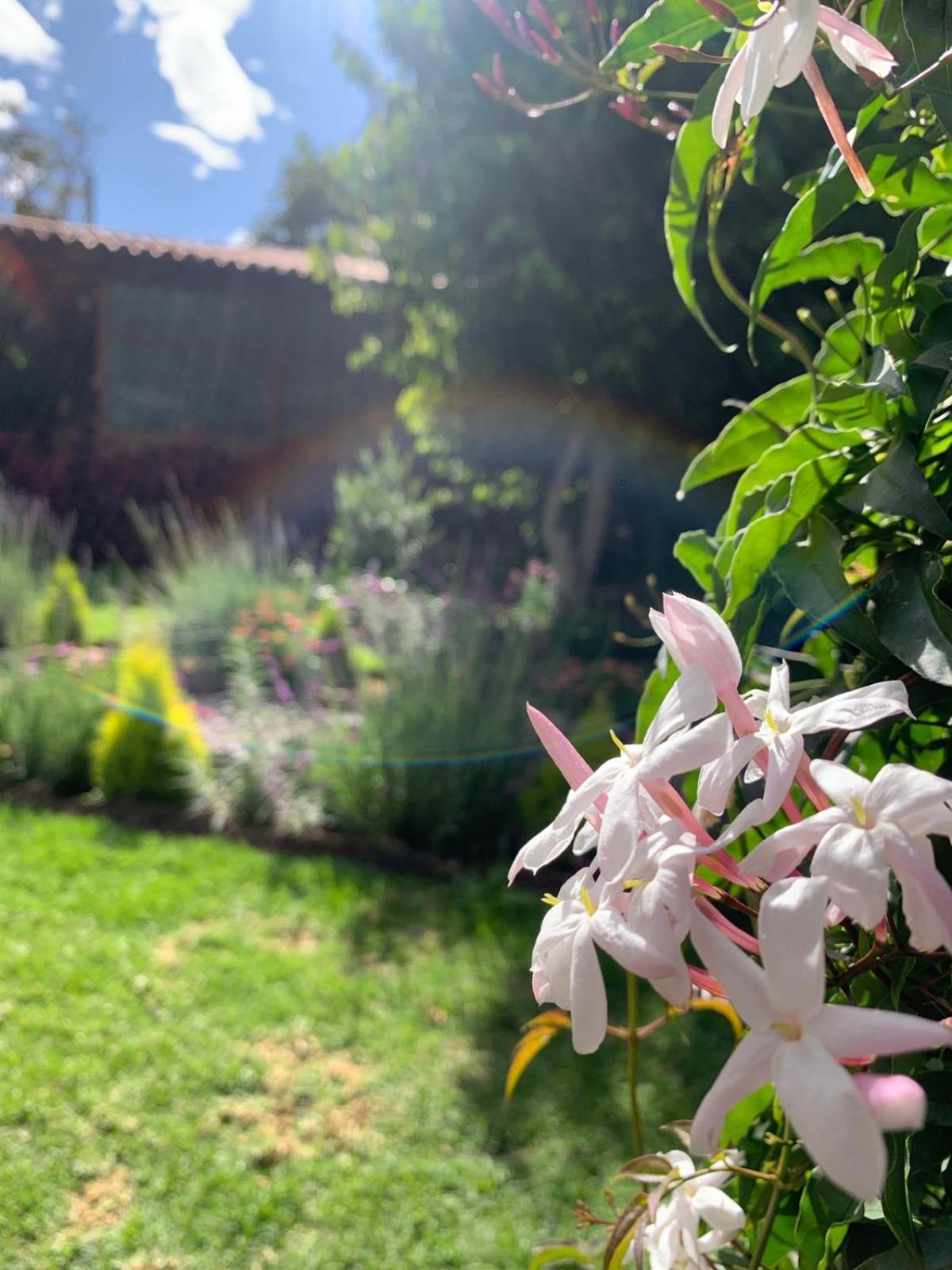 Petite Marie Casona Boutique Bed & Breakfast Yucay Bagian luar foto